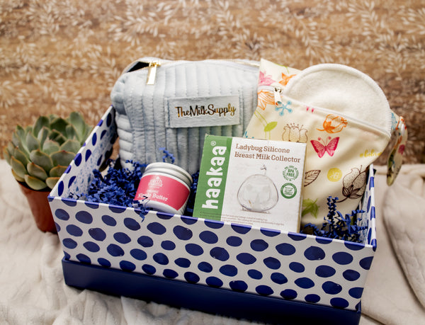 Breastfeeding Essentials - 0-12 month kit